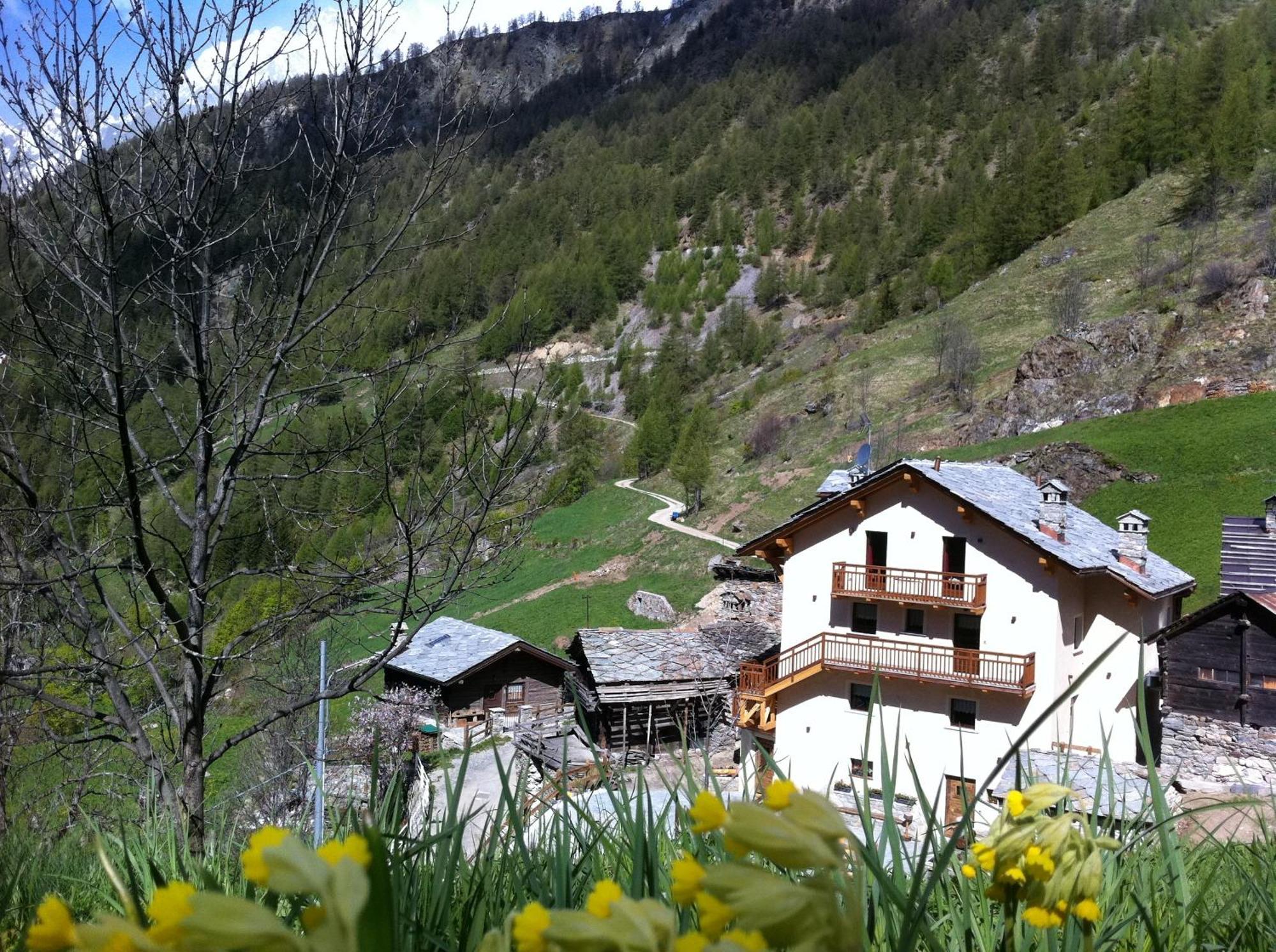 Alpe Rebelle Bed & Breakfast Bionaz Екстериор снимка