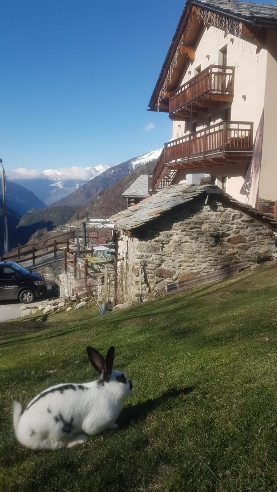 Alpe Rebelle Bed & Breakfast Bionaz Екстериор снимка